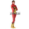 Batman Full Body Red and Yellow Spandex Lycra Cosplay Zentai Suit