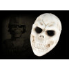 Payday 2 Skull Horror Cosplay Mask