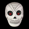 Payday 2 Skull Clown Cosplay Mask 