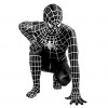 Spider-Man Spiderman Full Body Black Lycra Cosplay Zentai Suit