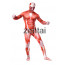 Attack on Titan Shingeki no Kyojin Colossal Titan Full Body Cosplay Zentai Suit