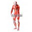 Attack on Titan Shingeki no Kyojin Colossal Titan Full Body Cosplay Zentai Suit