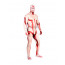 Attack on Titan Reiner Braun Full Body Lycra Zentai Suit