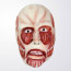 Halloween Shingeki no Kyojin Latex Mask Attack On Titan Cosplay Mask