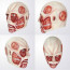 Halloween Shingeki no Kyojin Latex Mask Attack On Titan Cosplay Mask