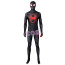 Marvel Spider-Man: Across the Spider-Verse Miles Morales Cosplay Costume