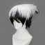 Rise of the Yokai Clan Rikuo Nura Cosplay Wig