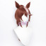 Uma Musume Pretty Derby Tokai Teio Cosplay Wig